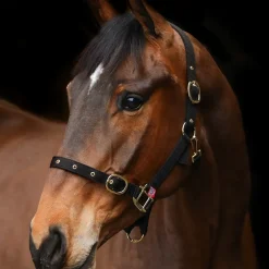 Equi-Sential Nylon Clip Headcollar