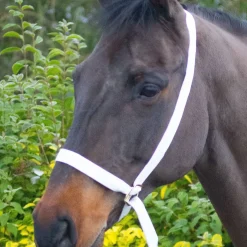 Equi-Sential Show Halter