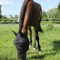 Equitheme Protec Fly Mask