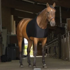 Equitheme Shoulder Protection
