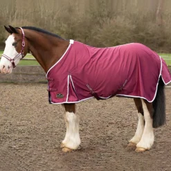 Gallop Summer Sheet