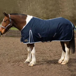 Gallop Summer Sheet