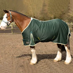 Gallop Summer Sheet