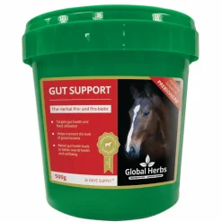 Global Herbs Gut Support