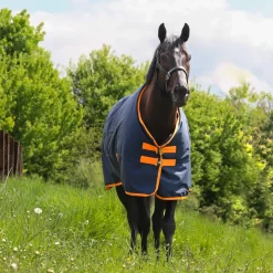 GS Equestrian 600D Waterproof Turnout Rug 0g