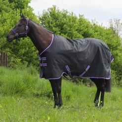 GS Equestrian 600D Waterproof Turnout Rug 100g