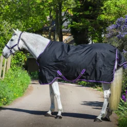 GS Equestrian 600D Waterproof Turnout Rug 100g