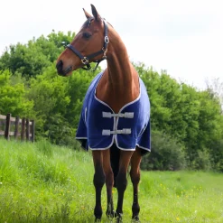GS Equestrian Polar Fleece Rug