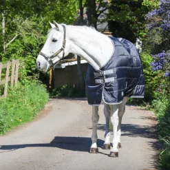 GS Equestrian Standard Neck 150g Stable Rug