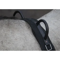 HKM Canvas Lunge Roller With Handle