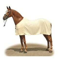 HKM Cooler