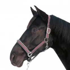 HKM Head Collar & Lead Rope with Snap Hook -Sternchen-