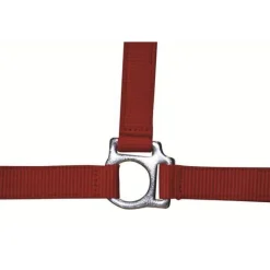 HKM Head Collar -Stars Economy-