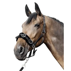HKM Lunge Cavesson With Plush Padding