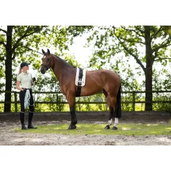 HKM Lunge Line -Catherine-
