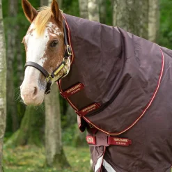 Horseware Ireland Amigo Bravo 1200D Original Hood 0g