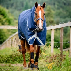 Horseware Ireland Amigo Bravo 12 Plus 0g Lite Turnout Rug