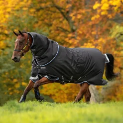 Horseware Ireland Amigo Bravo 12 Plus 250g Medium Turnout Rug