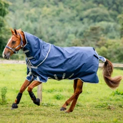 Horseware Ireland Amigo Bravo 12 Plus 250g Medium Turnout Rug