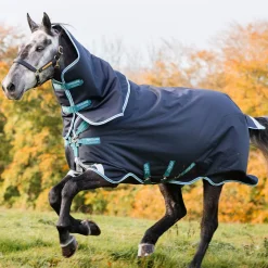 Horseware Ireland Amigo Bravo 12 Plus 250g Medium Turnout Rug