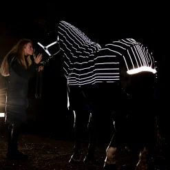 Horseware Ireland Amigo 1200D FieldSafe Reflectech Plus 250g Turnout Rug