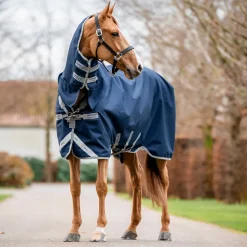Horseware Ireland Amigo 1200D Integrated 250g Turnout Rug