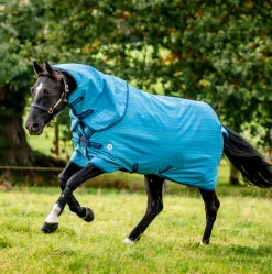 Horseware Ireland Amigo Hero 900 Revive Plus 50g