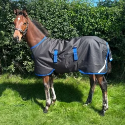 Horseware Ireland Amigo Ripstop 900D 50g Foal Turnout Rug