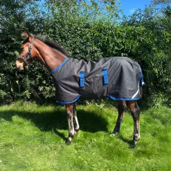 Horseware Ireland Amigo Ripstop 900D 50g Foal Turnout Rug