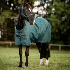 Horseware Ireland Amigo Ripstop 900D 50g Pony Turnout Rug