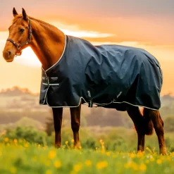 Horseware Ireland Amigo Ripstop 900D 50g Pony Turnout Rug