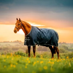 Horseware Ireland Amigo Ripstop 900D 200g Turnout Rug