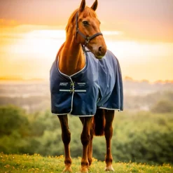 Horseware Ireland Amigo Ripstop 900D 100g Turnout Rug
