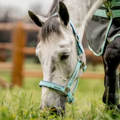 Horseware Ireland Field Safe Headcollar