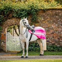 Horseware Ireland Newmarket Exercise Sheet