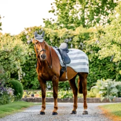 Horseware Ireland Newmarket Exercise Sheet