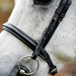 Horseware Ireland Pony Cavesson Bridle
