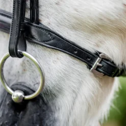 Horseware Ireland Pony Cavesson Bridle