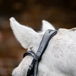 Horseware Ireland Pony Cavesson Bridle