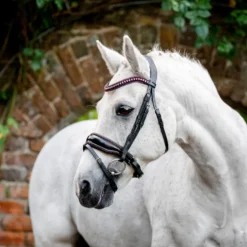 Horseware Ireland Pony Diamante Flash Bridle