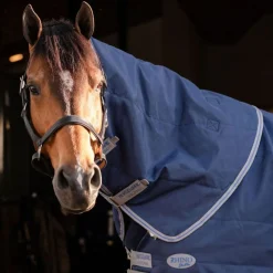 Horseware Ireland Rhino 200g Stable Hood