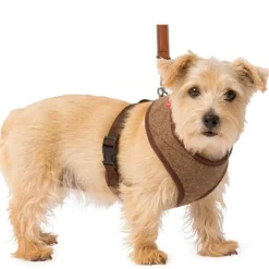 House of Paws Memory Foam Harness