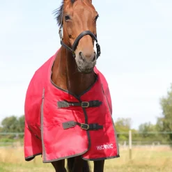 HyCONIC 200g Turnout Rug