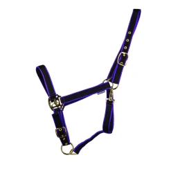 HyCONIC Head Collar