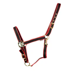 HyCONIC Head Collar