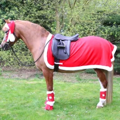 Hy Equestrian Christmas Santa Exercise Sheet