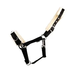 Hy Equestrian Fleece Lined Lunge Cavesson