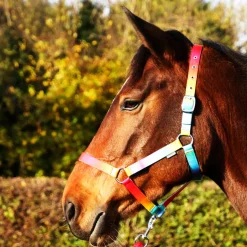 Hy Equestrian Ombre Head Collar & Lead Rope