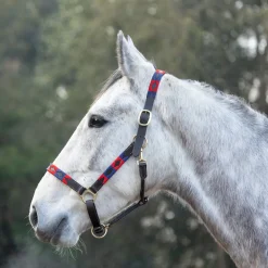 Hy Equestrian Polo Leather Head Collar