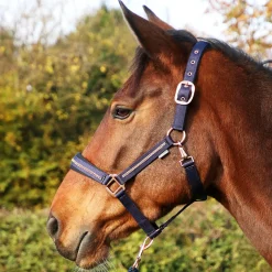 Hy Equestrian Sparkling Head Collar & Lead Rope Set
